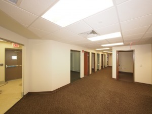 example-img-2